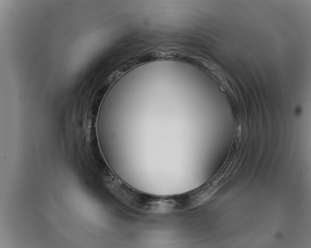 X0000094460525200711081102