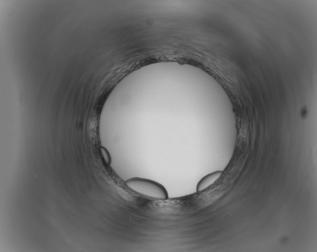 X0000094460526200711081102