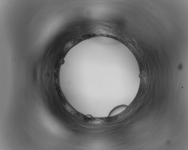 X0000094460527200711081102