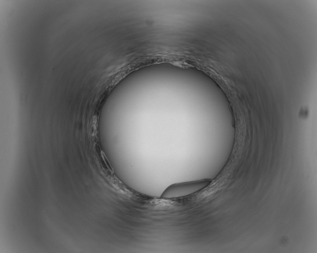 X0000094460528200711081102