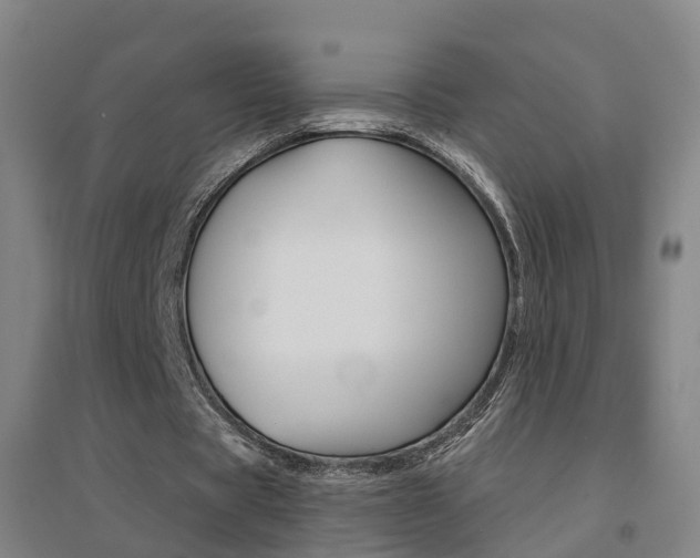 X0000094460529200711081101