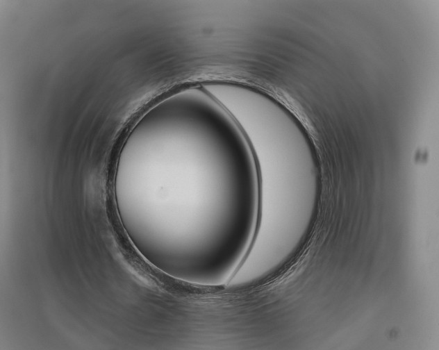 X0000094460530200711081101