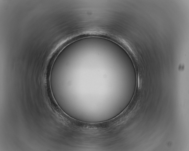 X0000094460531200711081101