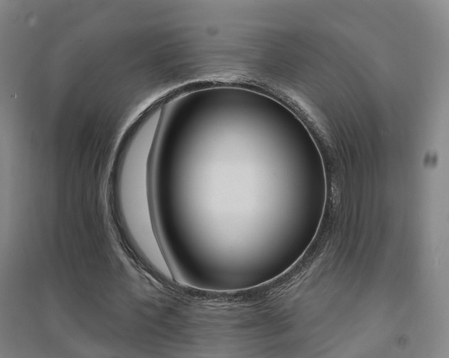 X0000094460532200711081101
