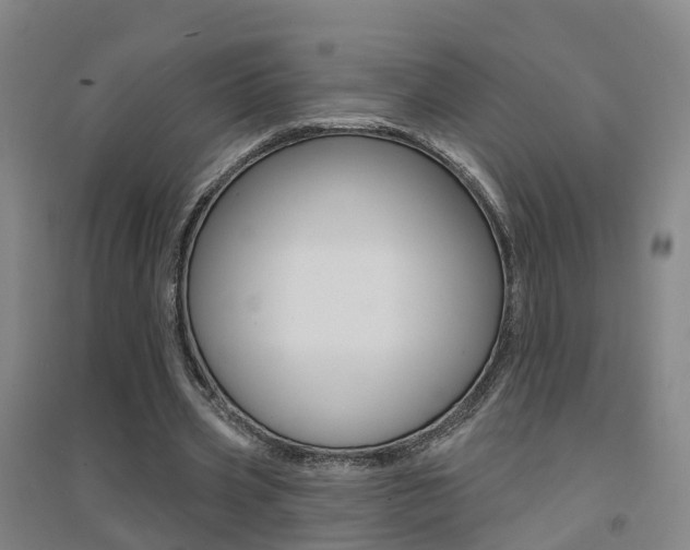 X0000094460533200711081101