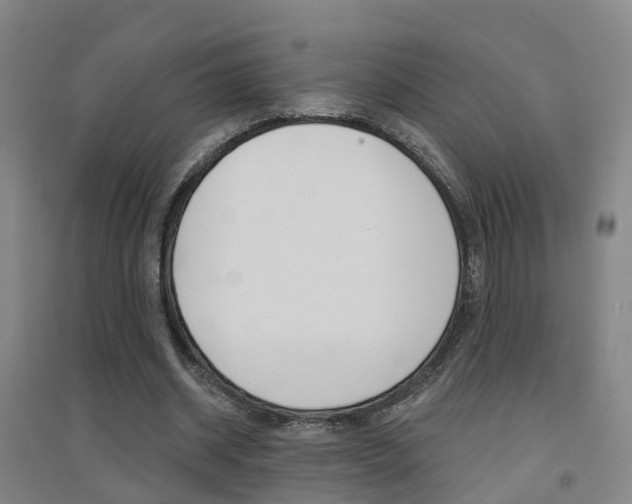 X0000094460534200711081101