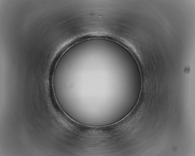 X0000094460535200711081101