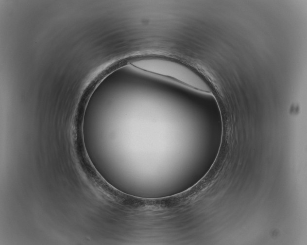 X0000094460536200711081101