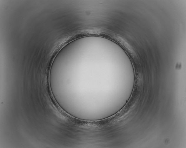 X0000094460537200711081101