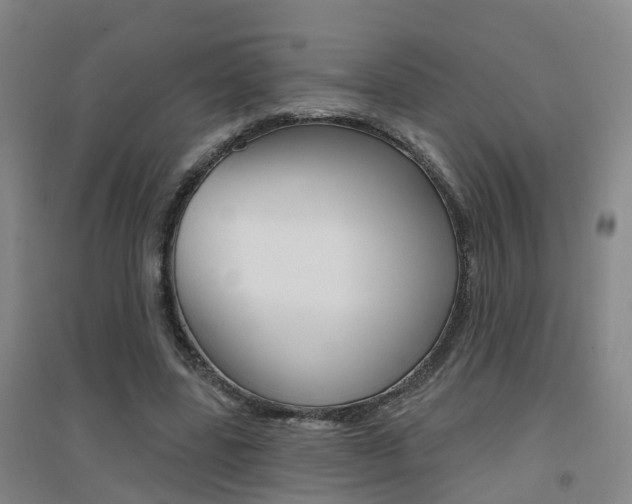 X0000094460539200711081101