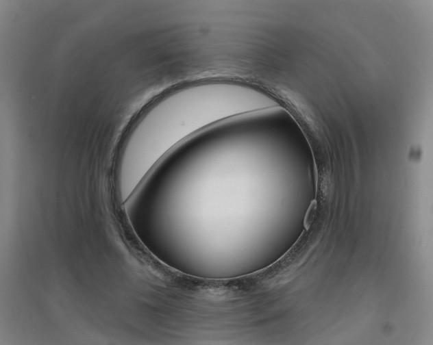 X0000094460540200711081101
