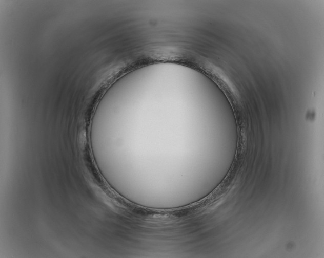 X0000094460541200711081101
