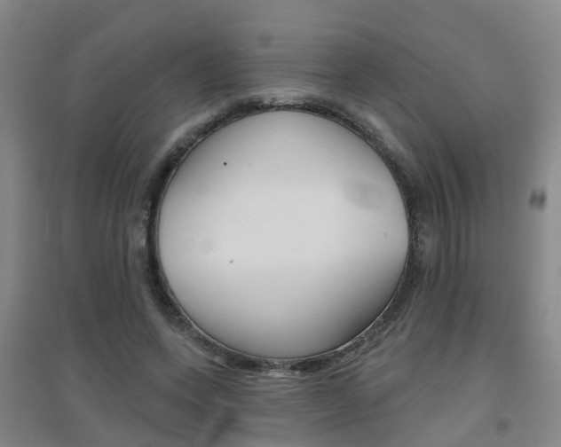 X0000094460543200711081101