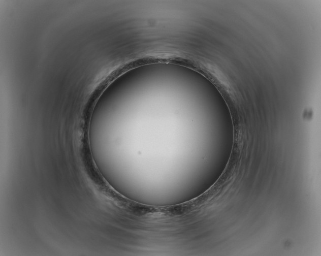 X0000094460544200711081101