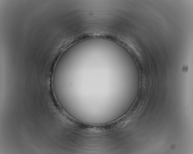 X0000094460545200711081101
