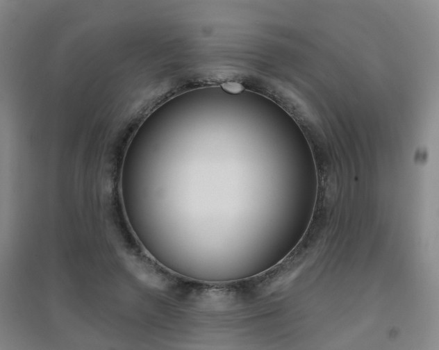 X0000094460546200711081101