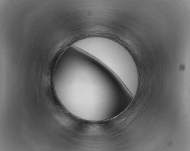 X0000094460547200711081101