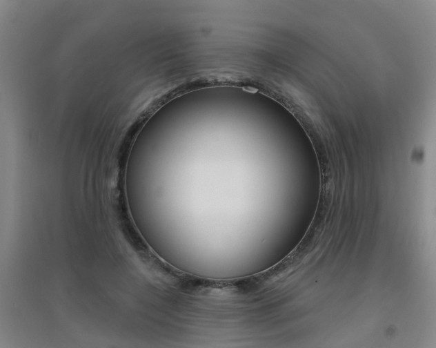 X0000094460548200711081101