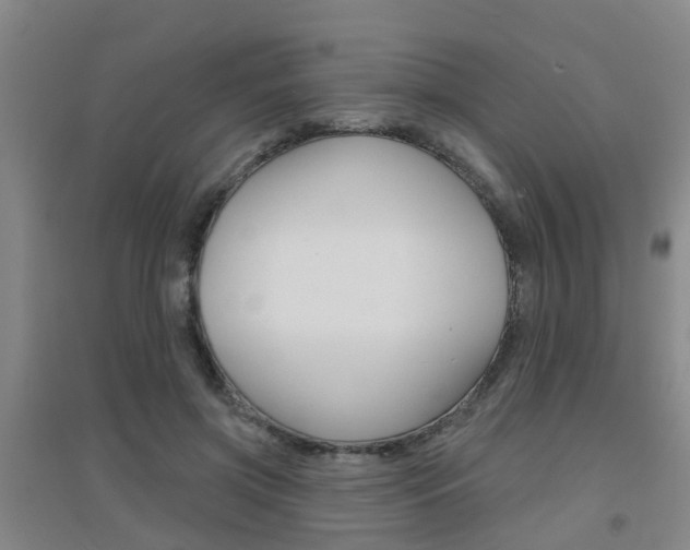 X0000094460549200711081101
