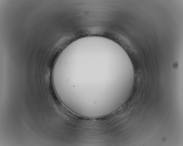 X0000094460550200711081101