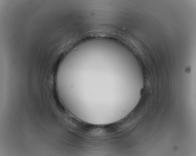 X0000094460551200711081101