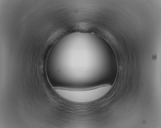 X0000094460552200711081101