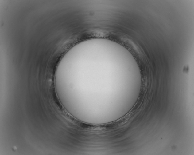X0000094460553200711081101