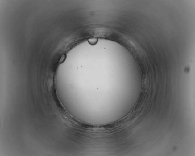 X0000094460554200711081101