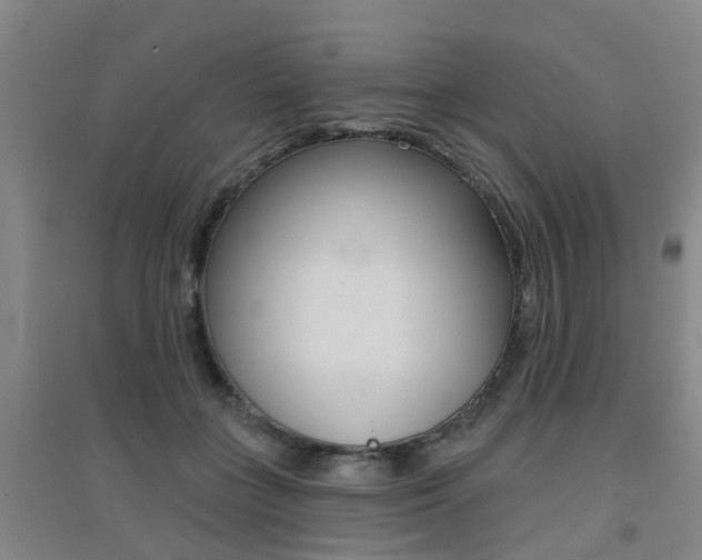 X0000094460555200711081101