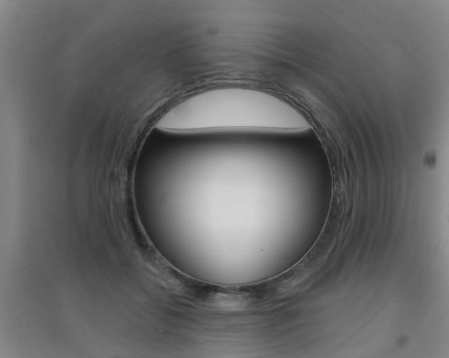 X0000094460556200711081101
