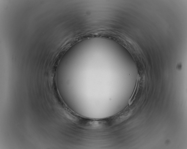 X0000094460558200711081101