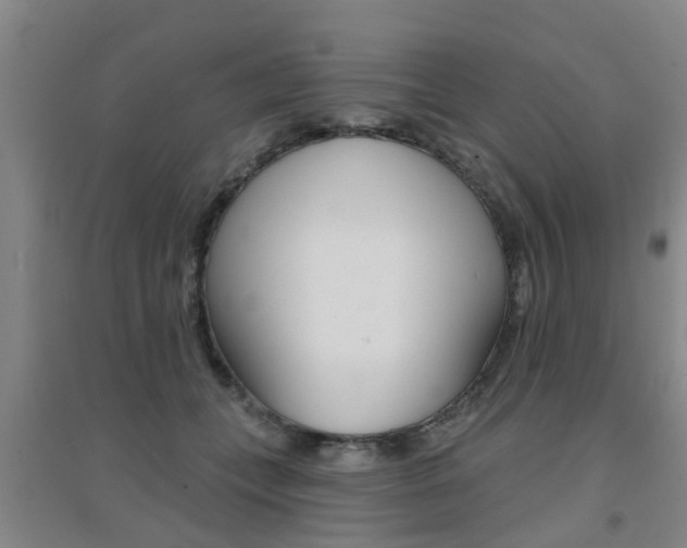 X0000094460559200711081101