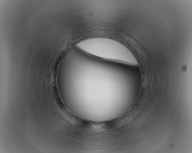X0000094460560200711081101