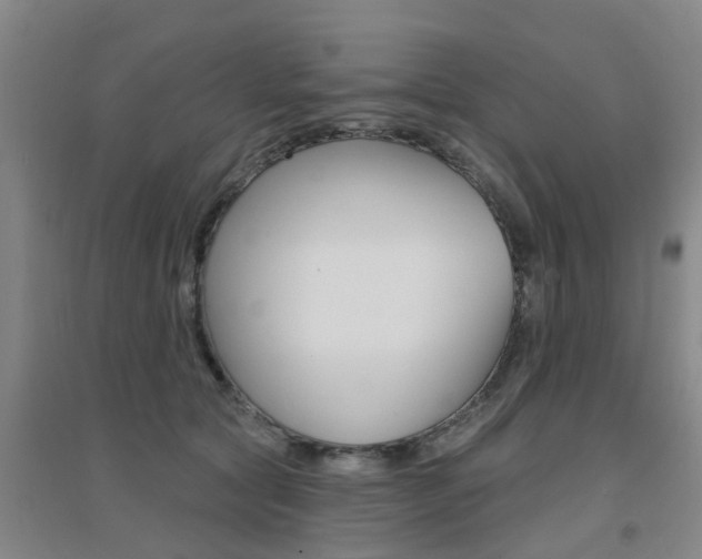 X0000094460561200711081101