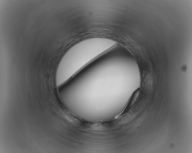X0000094460562200711081101