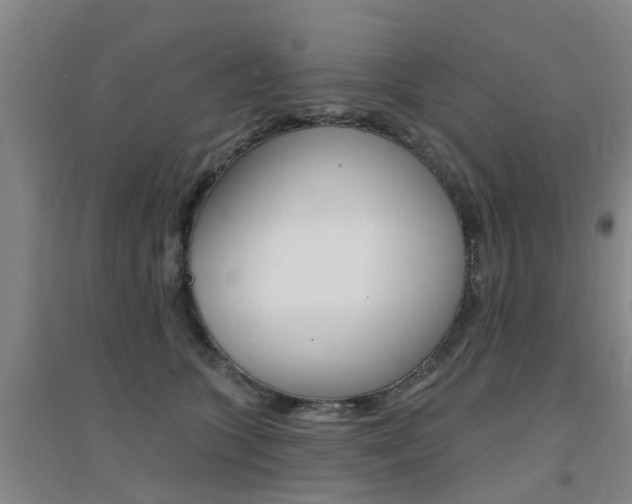 X0000094460563200711081101