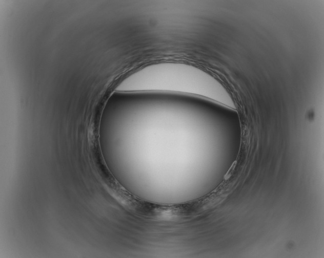 X0000094460564200711081101