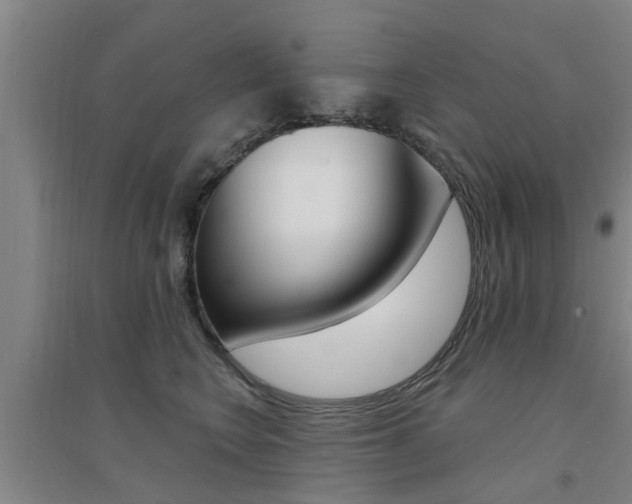 X0000094460566200711081101