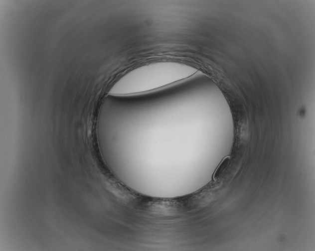 X0000094460567200711081101