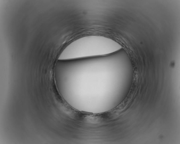 X0000094460568200711081101