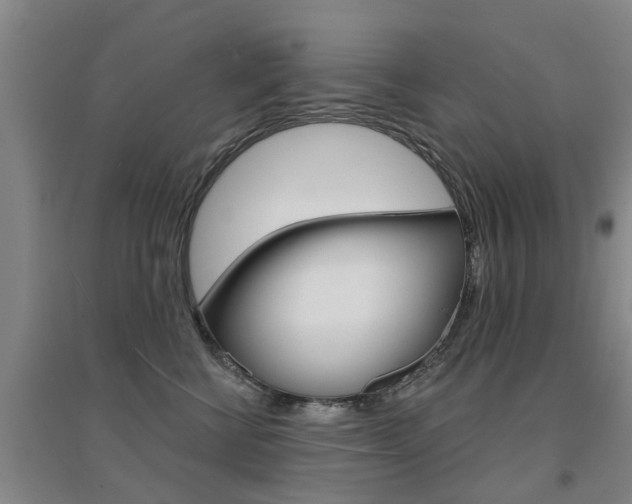 X0000094460570200711081102