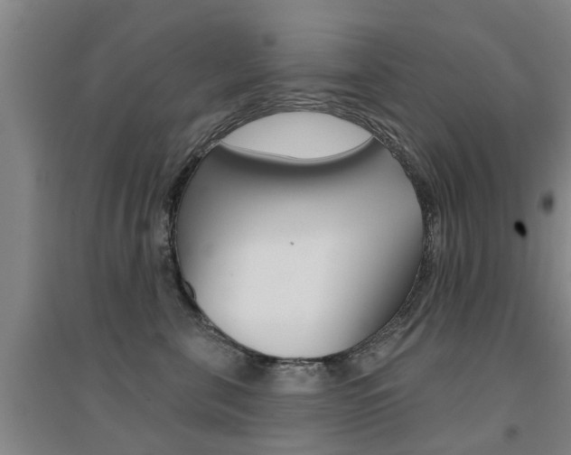X0000094460571200711081102