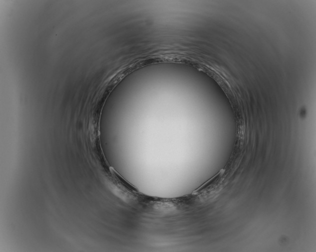 X0000094460572200711081102