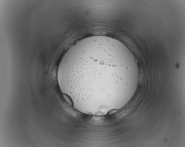 X0000094460573200711081102