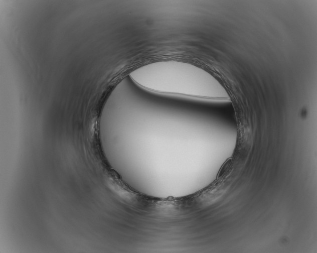 X0000094460574200711081102
