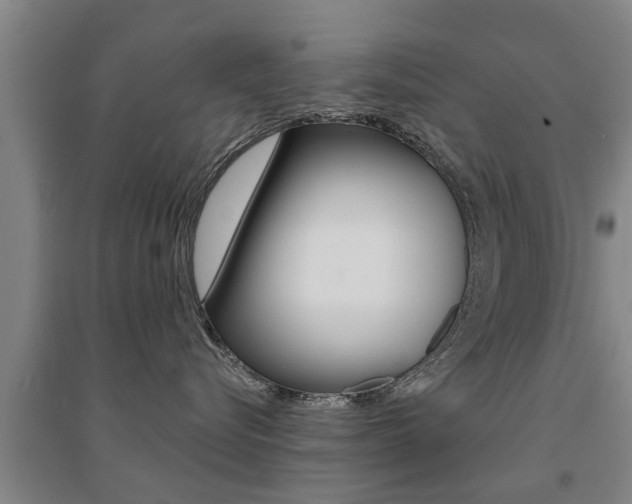 X0000094460576200711081102