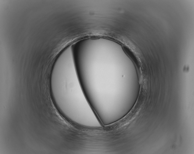 X0000094460577200711081101