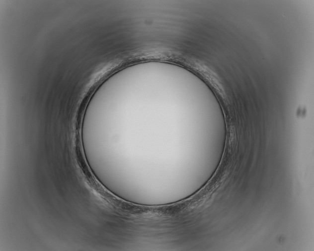 X0000094460578200711081101