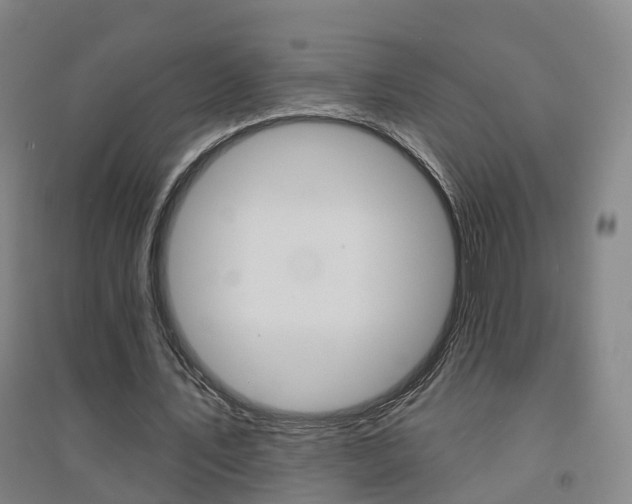 X0000094460579200711081101