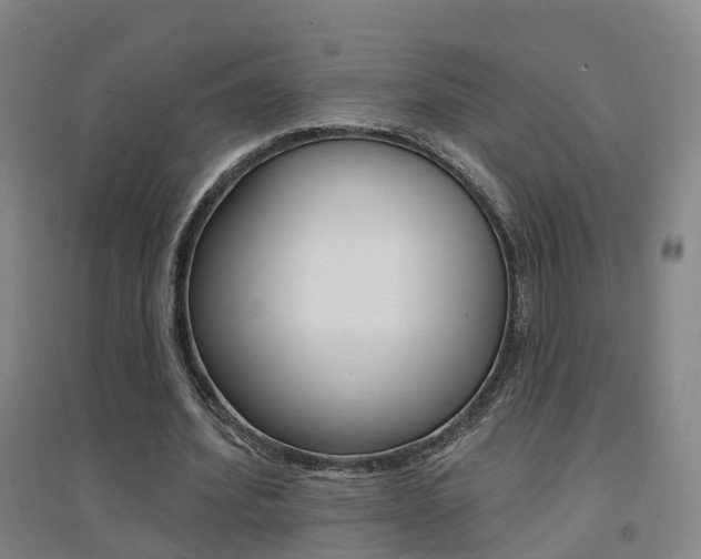 X0000094460580200711081101